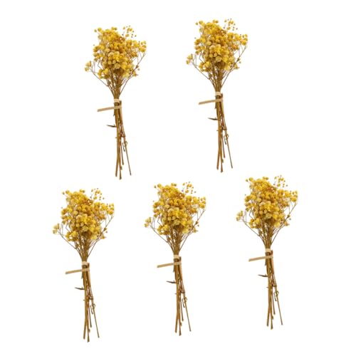 UTHCLO 5 Stück Getrocknete Gypsophila Blumen Natürlicher Schleierkraut Strauß Langlebige Trockenblumen Dekoration Leichtes Bouquet für Fotografie Requisiten und Wohnraumgestaltung UTHCLO 5 Stück Getrocknete Gypsophila Blumen Natürlicher Schleierkraut Strauß Langlebige Trockenblumen Dekoration Leichtes Bouquet für Fotografie Requisiten und Wohnraumgestaltung von UTHCLO
