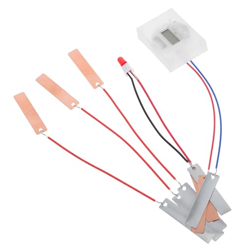 UTHCLO DIY Fruchtbatterie Experimentierset Physik Bausatz für Interaktives Wissenschaftsspielzeug für Zuhause Schule Klassenzimmer Familienprojekt Lernspielzeug von UTHCLO