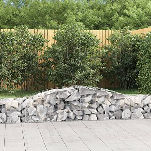 UTSRABFA Gabionen mit Hochbogen 9 STK. pflanzentopf pflanzenkübel for Terrasse Garten 400x50x40/60cm Verzinktes Eisen von UTSRABFA