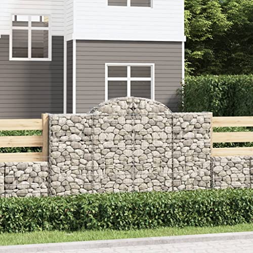 UTSRABFA Gabionen mit Hochbogen pflanzenkübel pflanzentopf for Garten Terrasse 13Stk. 200x50x120/140cm Verzinktes Eisen UTSRABFA Gabionen mit Hochbogen pflanzenkübel pflanzentopf for Garten Terrasse 13Stk. 200x50x120/140cm Verzinktes Eisen von UTSRABFA