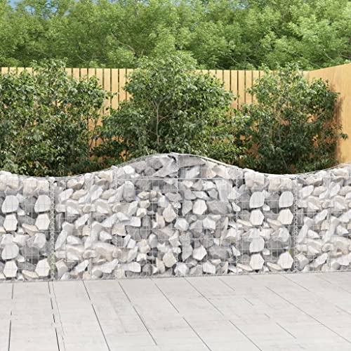 UTSRABFA Gabionen mit Hochbogen pflanzentopf pflanzkübel for Terrasse Garten 40 STK. 200x30x80/100cm Verzinktes Eisen von UTSRABFA