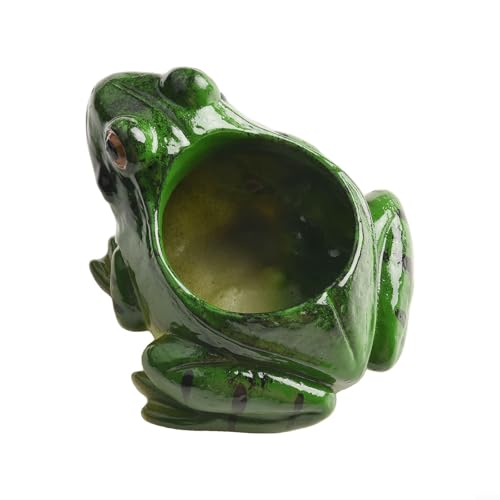 Realistischer Frosch-Blumentopf aus Kunstharz, perfekt für Sukkulenten und Heimdekoration Realistischer Frosch-Blumentopf aus Kunstharz, perfekt für Sukkulenten und Heimdekoration von UTTASU