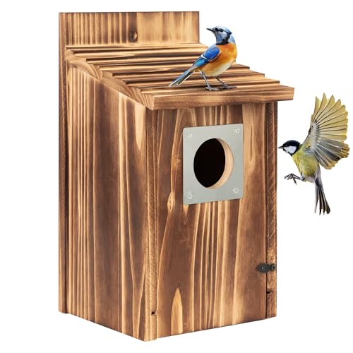 Vogelhaus für draußen, Holz-Blauvogelhaus, mit Raubtierschutz, Vogel-Nistkasten, Wildvögelbeobachtung, Finken, Bluebird-Kardinale, hängend, Vogelhaus, Freiraum, Garten, Landhaus Vogelhaus für draußen, Holz-Blauvogelhaus, mit Raubtierschutz, Vogel-Nistkasten, Wildvögelbeobachtung, Finken, Bluebird-Kardinale, hängend, Vogelhaus, Freiraum, Garten, Landhaus von UUMENHA