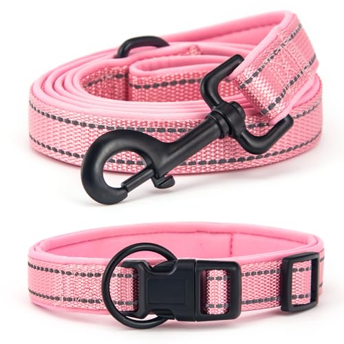 Bequemes Hundehalsband Set mit täglichem Halsband und Leine Rosa M - Genießen Sie angenehme Erfahrungen mit Ihrem Haustier! von UVTQSSP