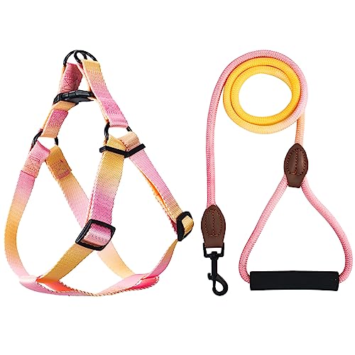 Haustier Verstellbares Hundegeschirr Nylon + Hundeleine 1,5m（Φ=0,9cm） für kleine, mittelgroße & Grosse Hunde Rosa bis Blau M von UVTQSSP