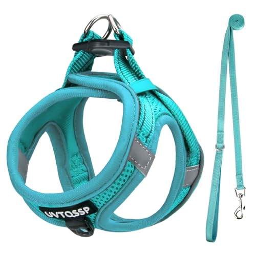 UVTQSSP Hundegeschirr Kleine Hunde mit Leine Gepolstert, Welpengeschirr, Dog Harness Hunde Geschirr Klein, Hellblau XS von UVTQSSP