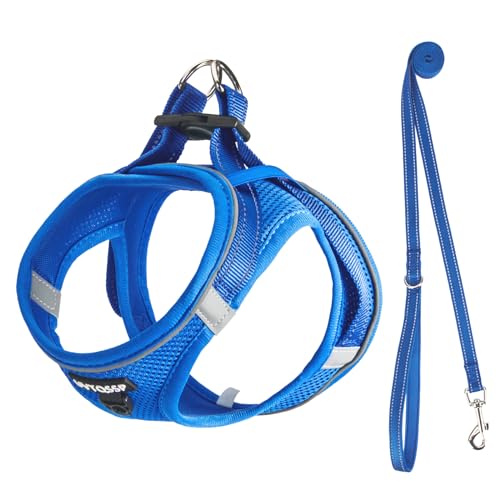 UVTQSSP Hundegeschirr Kleine Hunde mit Leine Gepolstert, Welpengeschirr, Dog Harness Hunde Geschirr Klein, Dunkelblau XS von UVTQSSP