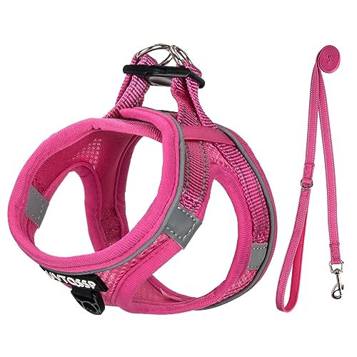 Hundegeschirr Kleine Hunde Rose Gepolstert, Welpengeschirr, Dog Harness Geschirr Hunde Klein S von UVTQSSP