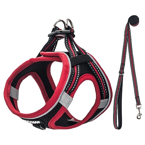 UVTQSSP Hundegeschirr Kleine Hunde mit Leine Gepolstert, Welpengeschirr, Dog Harness Hunde Geschirr Klein, Schwarz&Rot XXS von UVTQSSP