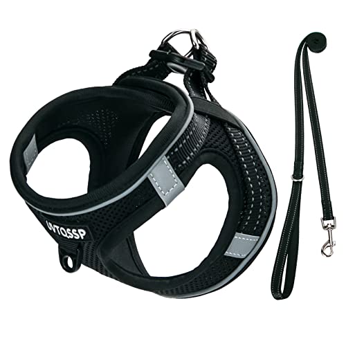 Hundegeschirr Kleine Hunde Schwarz Gepolstert, Welpengeschirr, Dog Harness Geschirr Hunde Klein S von UVTQSSP