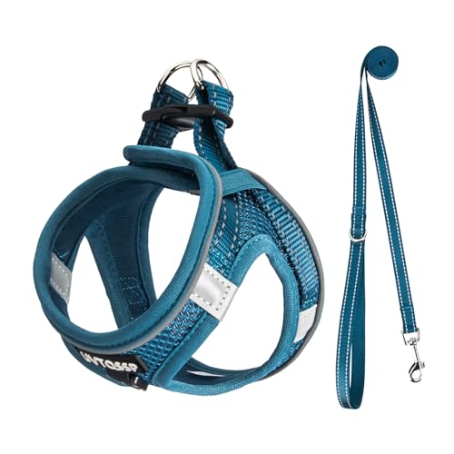 UVTQSSP Hundegeschirr Kleine Hunde mit Leine Gepolstert, Welpengeschirr, Dog Harness Hunde Geschirr Klein, Indigo blau XXS von UVTQSSP