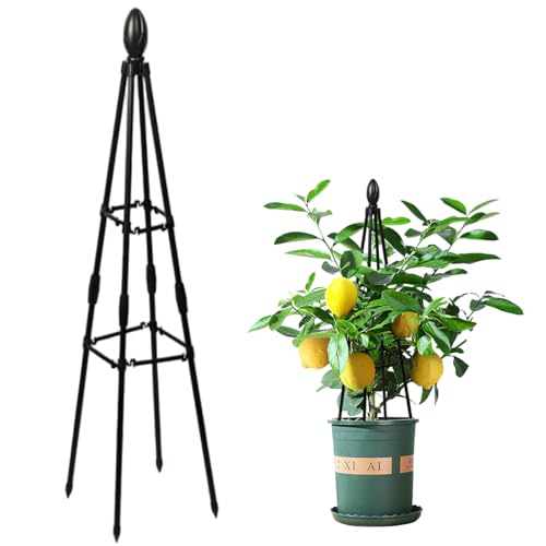 Obelisken, Obelisk -Gitter, 31, 5 -Zoll -Pflanzenstütze mit Ringverstärkung, rostfeste ＆ Einfach zu installierende Metallschlangen für Blumen, Gemüse, Obst, Garten von UWEOTYYY