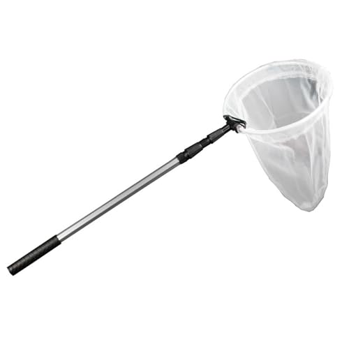UWEOTYYY Butterfly Net, Telescopic Bug Net with Handle Extends to 37 Inches, Fine Mesh Bug Catcher, Portabe Fishing Nets for Kids and Family UWEOTYYY Butterfly Net, Telescopic Bug Net with Handle Extends to 37 Inches, Fine Mesh Bug Catcher, Portabe Fishing Nets for Kids and Family von UWEOTYYY