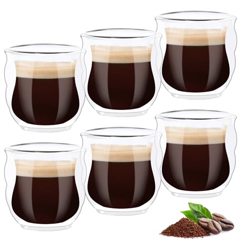 6 Stück Cappuccino Tassen Set 80ml Kaffeetassen Cappuccino Gläser Doppelwandige Kaffeegläser Kleine Kaffee Gläser Thermogläser Doppelwandig Kaffeeglas Cappuccinotassen Kaffeetasse Glas Coffee Glass von UWOBEFO