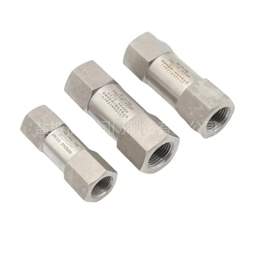 1/4" 3/8" 1/2" 3/4" BSPP NPT Innengewinde 304 Edelstahlfeder Rückschlagventil 4500 PSI(45359,BSPP Female) von UWUKCJOKQ