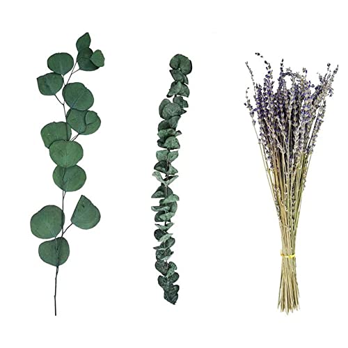 UWYRKSW 17-NatüRliche Echte EukalyptusbläTter Duschdekoration Wohnkultur Aromatische Lavendel-Duschpflanze von UWYRKSW