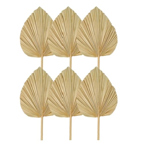 UWYRKSW 6 Stück Getrocknete Palmblätter, Natürliche Getrocknete Palmfächer, Großer Palmenspeer für Boho-Hochzeitsdekor, Tropische Palmblätter-Dekoration, Langlebige L von UWYRKSW