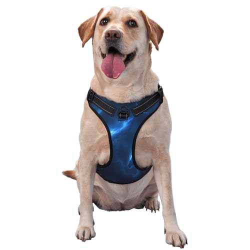 Fantasy Wal Hundegeschirr für kleine, mittelgroße und große Hunde – reflektierende Riemen, verstellbare Passform mit Schnellverschluss-Schnallen Fantasy Wal Hundegeschirr für kleine, mittelgroße und große Hunde – reflektierende Riemen, verstellbare Passform mit Schnellverschluss-Schnallen von UYHhgqw
