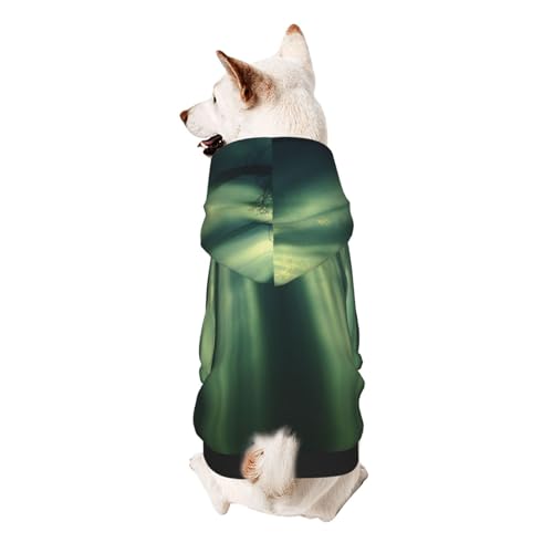 Hunde-Kapuzenpullover, Motiv: Wald am Morgen, weiches und atmungsaktives Polyester, Haustierkleidung für kleine Hunde, Jungen und Mädchen von UYHhgqw