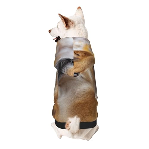 Hunde-Kapuzenpullover für kleine Hunde, Motiv: Der kleine Hund, der in den Himmel schaut, weiches und atmungsaktives Polyester, Haustierkleidung für kleine Hunde, Jungen und Mädchen von UYHhgqw