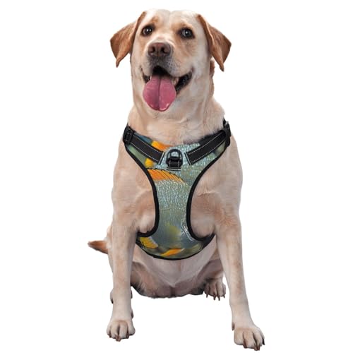 Schönes Fisch-Hundegeschirr für kleine, mittelgroße und große Hunde – reflektierende Riemen, verstellbare Passform mit Schnellverschluss-Schnallen Schönes Fisch-Hundegeschirr für kleine, mittelgroße und große Hunde – reflektierende Riemen, verstellbare Passform mit Schnellverschluss-Schnallen von UYHhgqw