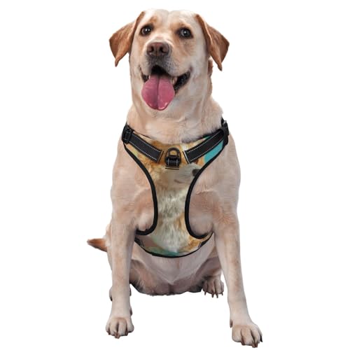 Süßes Hundegeschirr für kleine, mittelgroße und große Hunde – reflektierende Riemen, verstellbare Passform mit Schnellverschluss-Schnallen Süßes Hundegeschirr für kleine, mittelgroße und große Hunde – reflektierende Riemen, verstellbare Passform mit Schnellverschluss-Schnallen von UYHhgqw