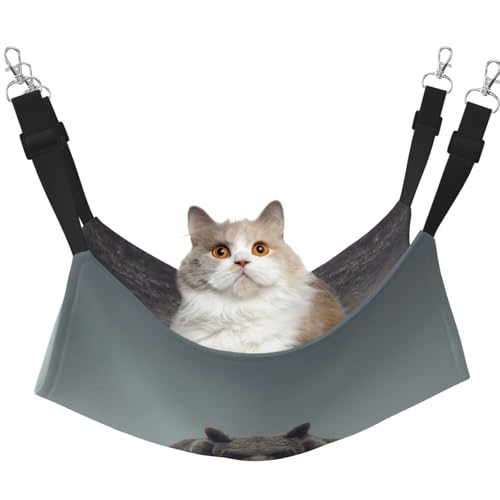 UYHhgqw Brown Bear Haustier-Hängematte, Samt-Hängematte für Katzen, verstellbare Gurte mit Metallhaken, perfekt für kleine Haustiere UYHhgqw Brown Bear Haustier-Hängematte, Samt-Hängematte für Katzen, verstellbare Gurte mit Metallhaken, perfekt für kleine Haustiere von UYHhgqw