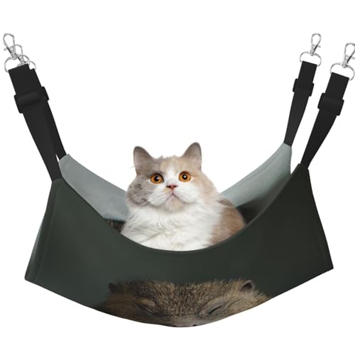 UYHhgqw Igel-Baby-Haustier-Hängematte, Samt-Hängematte für Katzen, verstellbare Gurte mit Metallhaken, perfekt für kleine Haustiere UYHhgqw Igel-Baby-Haustier-Hängematte, Samt-Hängematte für Katzen, verstellbare Gurte mit Metallhaken, perfekt für kleine Haustiere von UYHhgqw