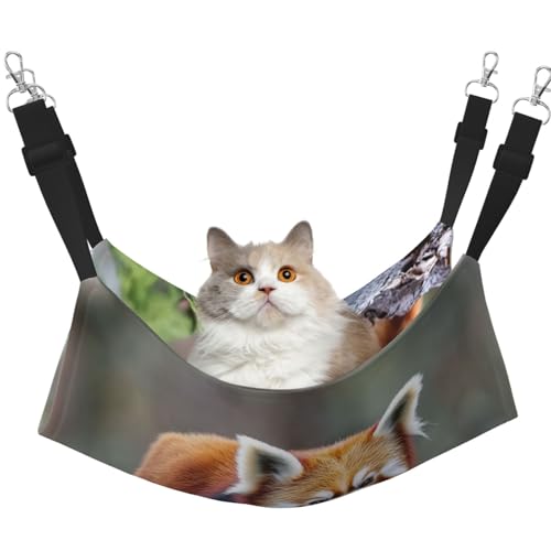 UYHhgqw Leisurely Little Pandas Haustier-Hängematte, Samt-Hängematte für Katzen, verstellbare Gurte mit Metallhaken, perfekt für kleine Haustiere von UYHhgqw