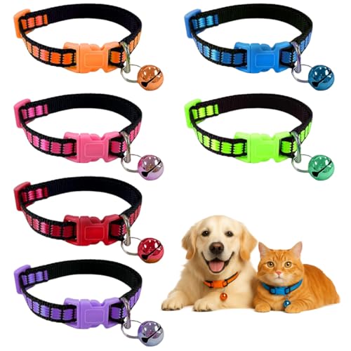UYVPAER Katzenhalsband Mit Sicherheitsverschluss 6-Stück, Verstellbares Halsband Katze Mit Glöckchen, Leuchtenden Farben Katzen Halsbänder Für Alle Hauskatzen UYVPAER Katzenhalsband Mit Sicherheitsverschluss 6-Stück, Verstellbares Halsband Katze Mit Glöckchen, Leuchtenden Farben Katzen Halsbänder Für Alle Hauskatzen von UYVPAER