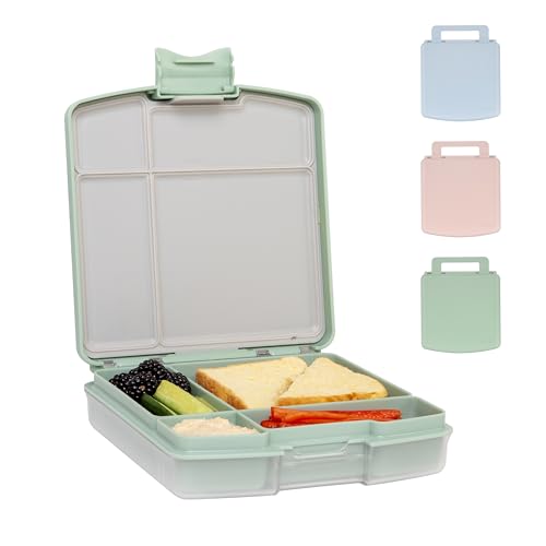 Ubbi Bento Lunch Box for Kids Back to School with 4 Compartments, BPA-Free, Leakproof, Dishwasher Safe, Food-Safe Material, Portion-Controlled Lunch Container, Sage Green von Ubbi