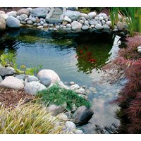 Ubbink Fertigteich "Neptun V" Ubbink Fertigteich "Neptun V" von Ubbink