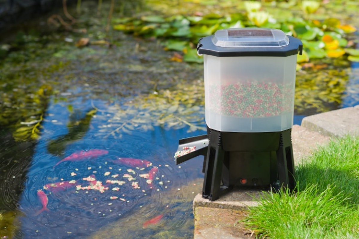 Ubbink Koi Feeder - autom. Solar-Fischfutter-Spender Ubbink Koi Feeder - autom. Solar-Fischfutter-Spender von Ubbink