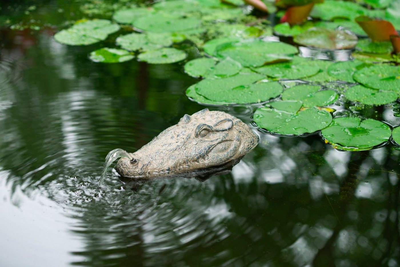 Ubbink Wasserspeier Krokodil, Schwimmt auf dem Wasser, BxLxH: 16x34x10 cm von Ubbink