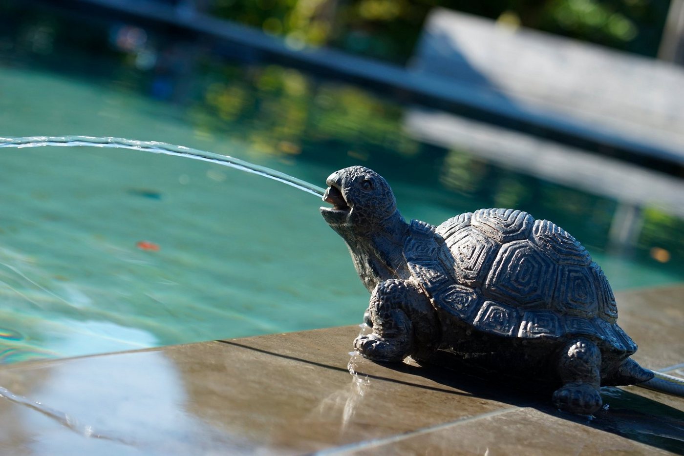 Ubbink Wasserspeier Schildkröte, BxLxH: 18x14x21 cm von Ubbink