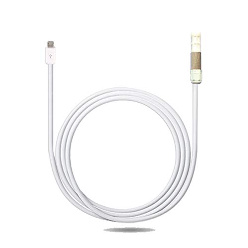 UbiBot TH30S-B | externe Temperatur- und Feuchtigkeitssonde, Temperatur- und Feuchtigkeitssensor in einer Sonde, -40 bis 80 ºC, 0 bis 100% RH, Micro-USB-Anschluss (passt nur zu unserem WS1 Pro-Gerät) von UbiBot