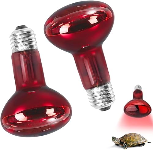 Udbrud Reptilien Rotlichtlampe Birne, 2 Stück Infrarotlampe Wärmelampe Terrarium 100W, E27 Wärmelampe Schildkröten für Schlangen, Eidechsen, Vogelspinne, Kaninchen von Udbrud