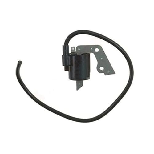 Passend for 21171-2167 Rasenmähermotoren, 4-Takt-Motor von UeWhN
