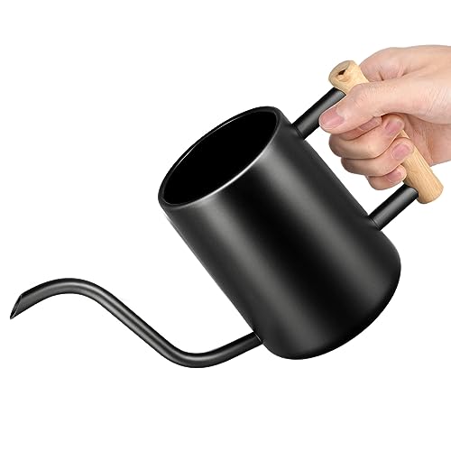 Uennm 1L Indoor Gießkanne, Edelstahl-Giesskanne für den Innenbereich Metall-Garten-Gießkanne mit langem Ausguss Long Spout für Zimmerpflanzen Sukkulenten Bonsai(Black) von Uennm