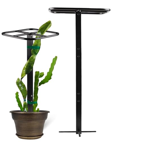 Uhngw Kletterhilfe Für Rankpflanzen, Rankgitter Für Gartenarbeit, Kletterstange Drachenfrucht Turm Für Hochzeitsreben Zimmerpflanzen Draußen Balkon Terrasse Garten Uhngw Kletterhilfe Für Rankpflanzen, Rankgitter Für Gartenarbeit, Kletterstange Drachenfrucht Turm Für Hochzeitsreben Zimmerpflanzen Draußen Balkon Terrasse Garten von Uhngw