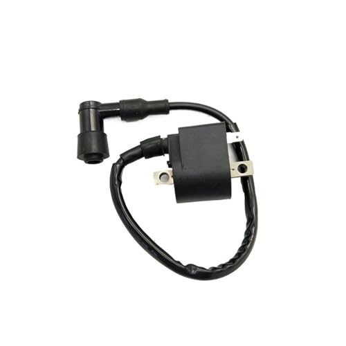 LT50 Zündspule passend for ATV LT50 Zündspule passend for ATV von UidEdMVp