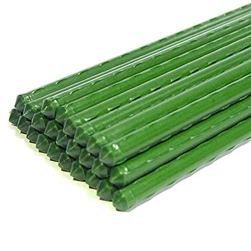 Uikdjgu 25 Pack Garten Pfahl Metall Kunststoff Beschichteter Pflanzen KäFig UnterstüTzt das Klettern für Tomaten, BäUme, Gurken, ZäUne, Bohnen, 40 Cm Uikdjgu 25 Pack Garten Pfahl Metall Kunststoff Beschichteter Pflanzen KäFig UnterstüTzt das Klettern für Tomaten, BäUme, Gurken, ZäUne, Bohnen, 40 Cm von Uikdjgu