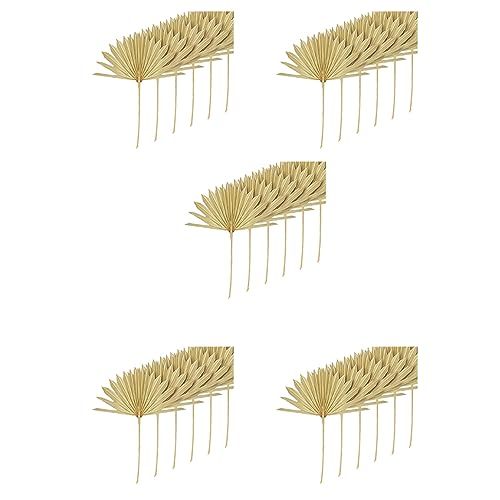 Uikdjgu 30 Stück Große Getrocknete Palm Blätter Natürliche Getrocknete Palm Fächer Getrocknete Blumenstrauß Hochzeit Dekore Getrocknete Fächerpalmen Blätter von Uikdjgu