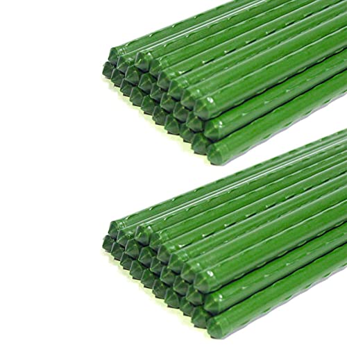 Uikdjgu 50 Pack Garten Pfahl Metall Kunststoff Beschichteter Pflanzen KäFig UnterstüTzt Das Klettern für Tomaten, BäUme, Gurken, ZäUne, Bohnen, 40 cm Uikdjgu 50 Pack Garten Pfahl Metall Kunststoff Beschichteter Pflanzen KäFig UnterstüTzt Das Klettern für Tomaten, BäUme, Gurken, ZäUne, Bohnen, 40 cm von Uikdjgu
