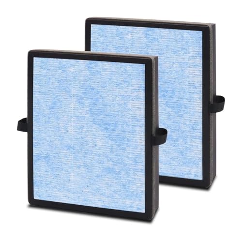 UioQrintan Luftreinigungsfilter Aktivkohle HEPA-Filter Kompatibel für AROEVE MK04 MG04JH CONOPU JH04 von UioQrintan