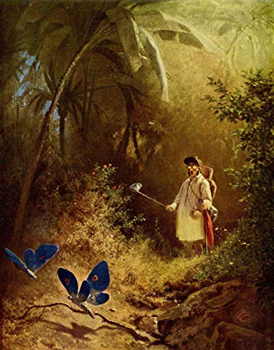 Diy Malen Nach Zahlen Kits Für Erwachsene Carl Spitzweg Berühmtes Gemälde The Butterfly Hunter Paintworks Malen Nach Zahlen Kits Auf Leinwand von Uiujiij