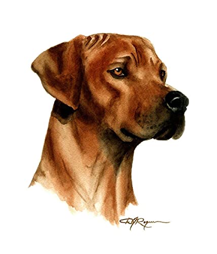 Diy Malerei Für Erwachsene Goldbraun Rhodesian Ridgebacks Hund Tierlandschaft Malen Nach Zahlen Kit Auf Leinwand Für Anfänger 40 * 50Cm von Uiujiij