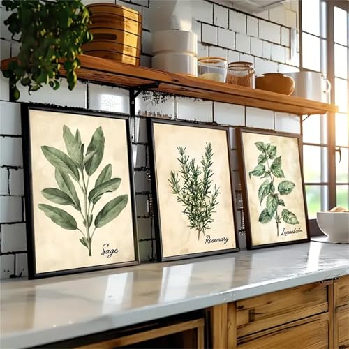3er Watercolor Herb Wall Art Poster Set - Vintage Farmhouse Style Leaf Poster Für Schlafzimmer, Küche & Home Office Decor (21x30cm) von Uixxducc