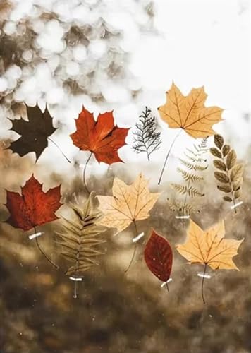 Uixxducc 1er Premium Poster & Kunstdrucke, Leinwandbilder Herbstbilder Aesthetic Dekoration, Ohne Rahmen - Herbst Poster Für Schlafzimmer Wohnzimmer (G,50 * 70cm) von Uixxducc