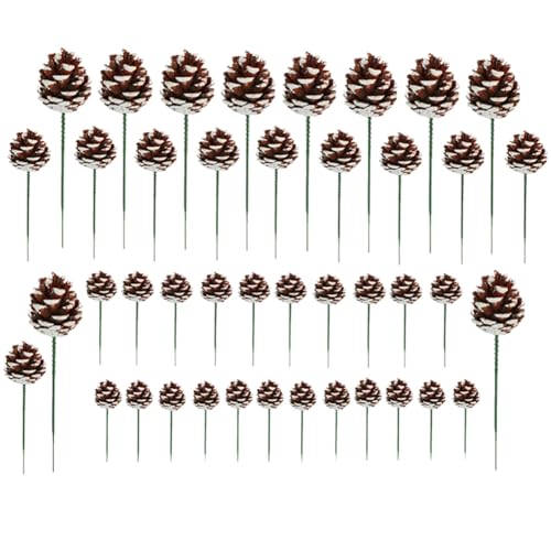 Ujjdwiurgh 42 Stück DIY Blütenpicks aus Kiefernzapfen, getrocknete Blumen mit grünem Stiel, Ananas mit Kabel, Dekoration für Familientreffen Ujjdwiurgh 42 Stück DIY Blütenpicks aus Kiefernzapfen, getrocknete Blumen mit grünem Stiel, Ananas mit Kabel, Dekoration für Familientreffen von Ujjdwiurgh